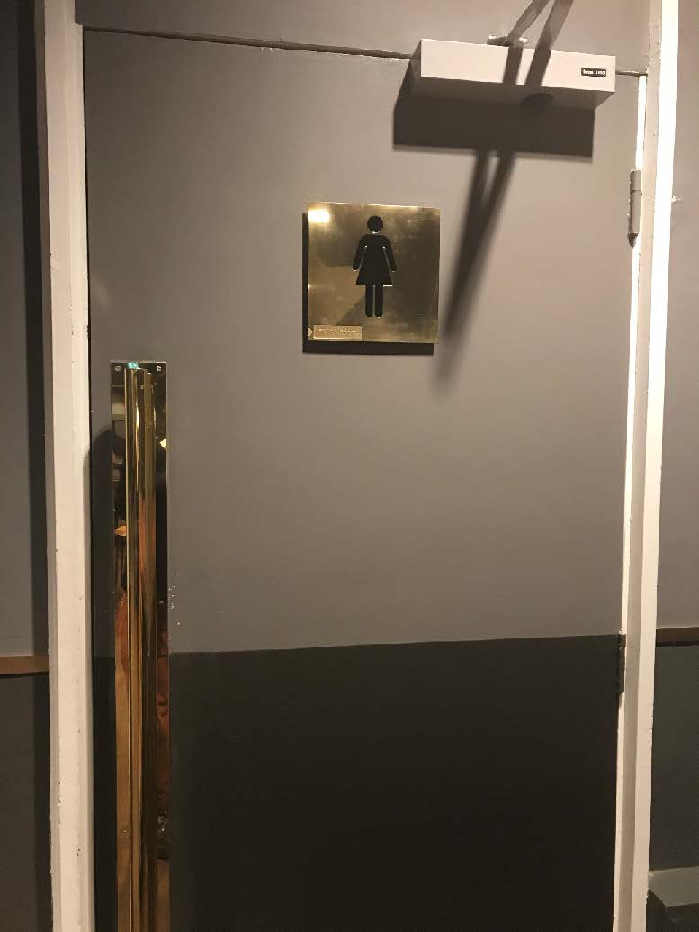 A picture of a women's toilet door in the Peacock Theatre