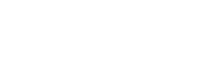 Birmingham City Council - logo